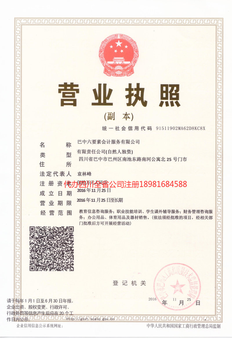 蓬安蓬安六要素会计服务有限公司