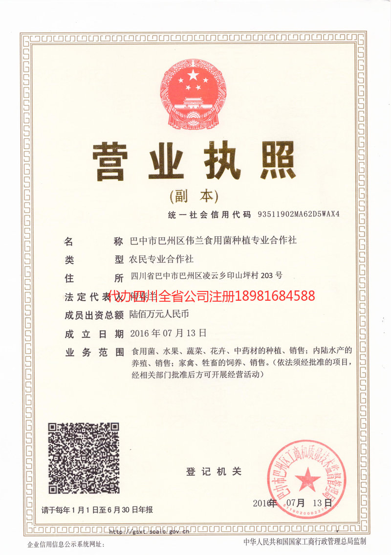 蓬安蓬安伟兰食用菌种植专业合作社